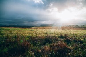 View of Fields of Scotland which is the home of Islay Whisky